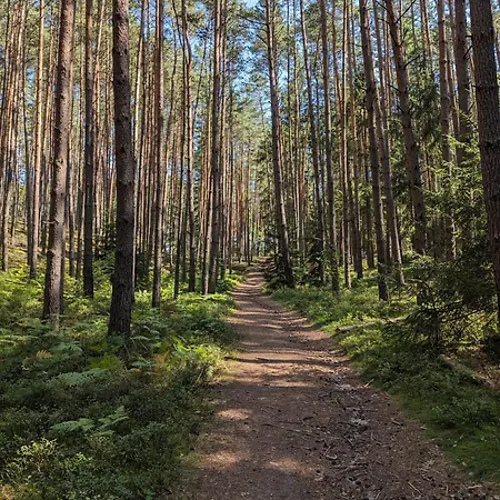 Cizovka *